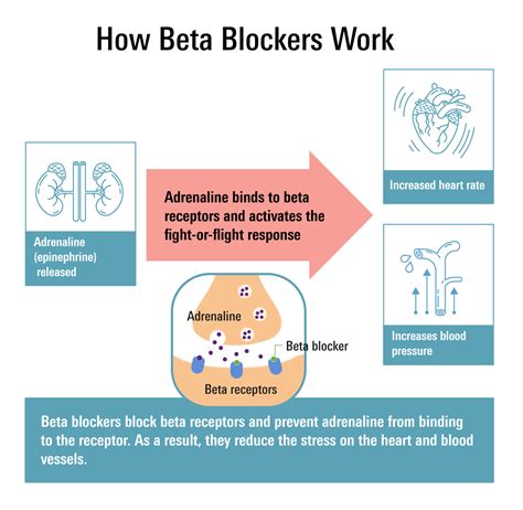 how beta blockers work