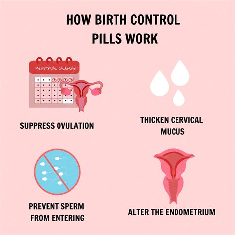 How Birth Control Pills Work