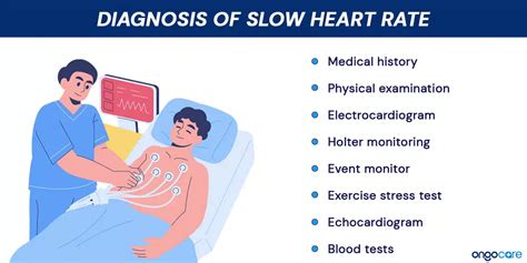 how medications work to slow heart rate