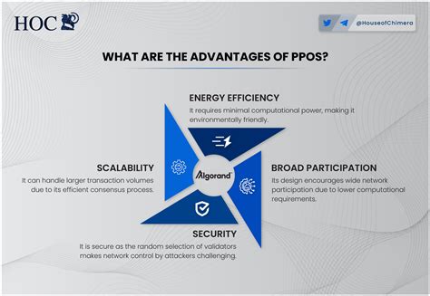 How PPOs Work