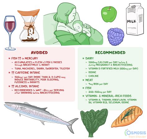 how to choose the best nursing diet