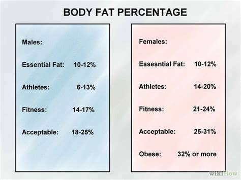 How to measure body fat