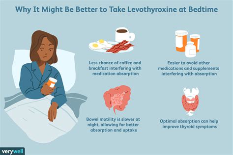 how to take levothyroxine