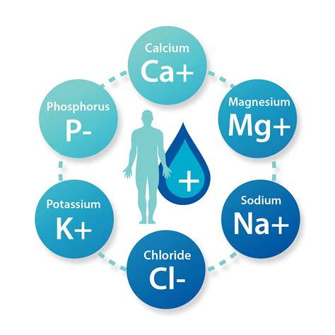 Hydration and Electrolyte Balance