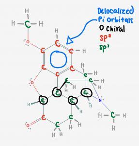 Hydrocodone mechanism