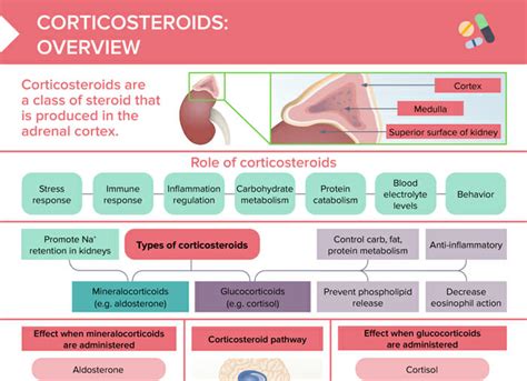 hydrocortisone types