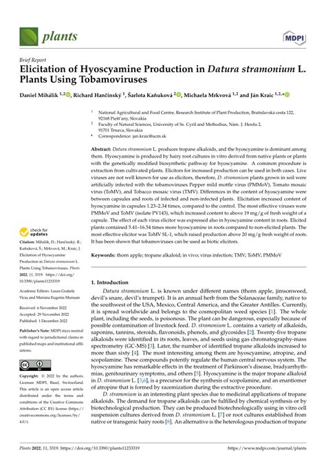 Hyoscyamine research