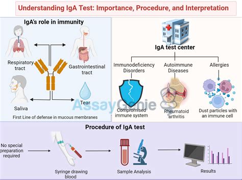 Conditions diagnosed with IgA test