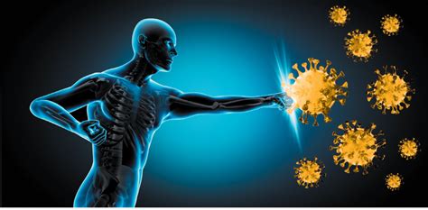 Immunity Boosting Strategies