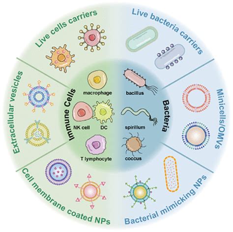 Immunotherapy