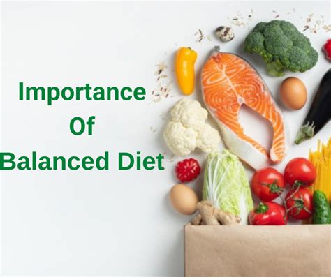 The Importance of a Balanced Diet