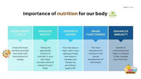 importance of nutrients during pregnancy