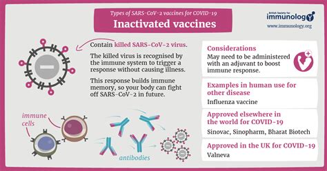 inactivated vaccine