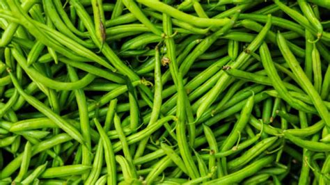 incorporating beans