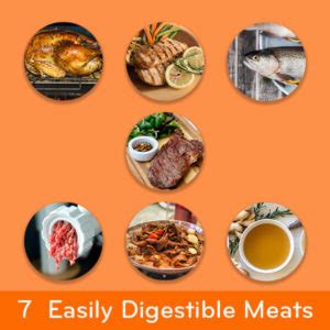 incorporating easily digestible foods