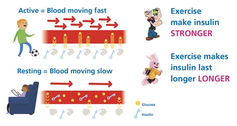 insulin and exercise