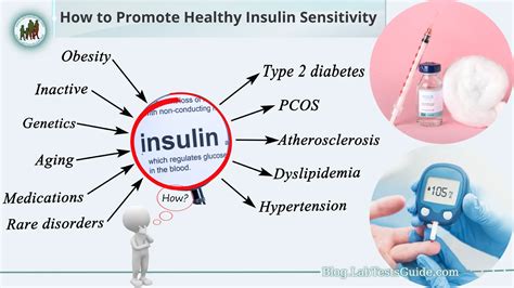 insulin sensitivity