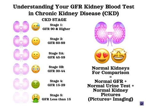 interpreting kidney function blood test results
