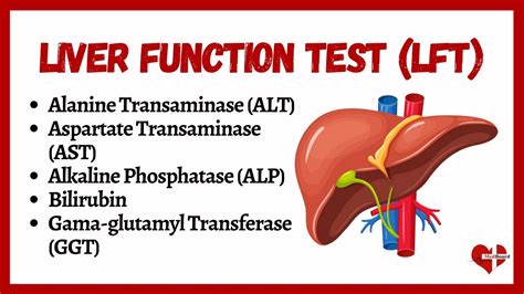 Interpreting liver function lab results