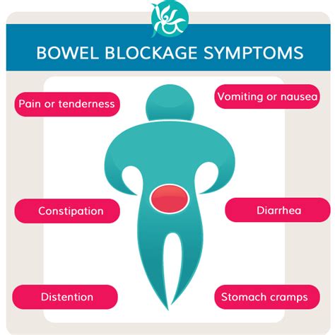 Intestine blockage symptoms