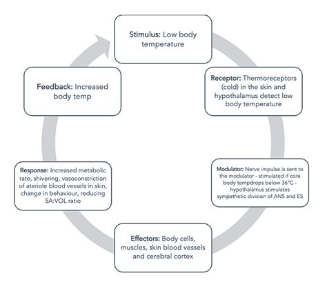 Introduction to Body Temperature Regulation