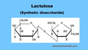 Introduction to Lactulose