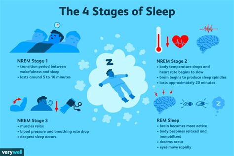 Introduction to REM Cycle Length
