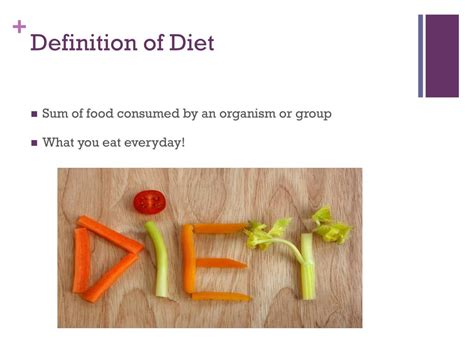 Introduction to Dieting