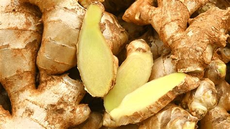 Introduction to Ginger