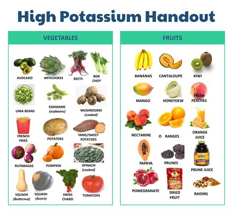 Introduction to High Potassium Foods