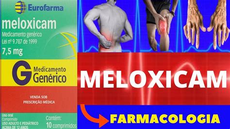 Introduction to Meloxicam