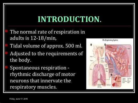 Introduction to Normal Respiration