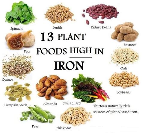 iron-rich foods for vegetarians