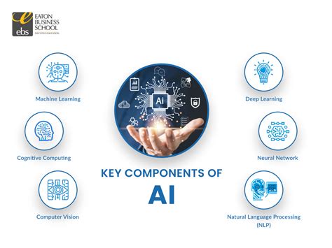 Key Components of HMOs