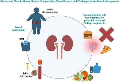 Kidney Disease Management