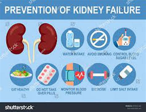 kidney disease prevention and management
