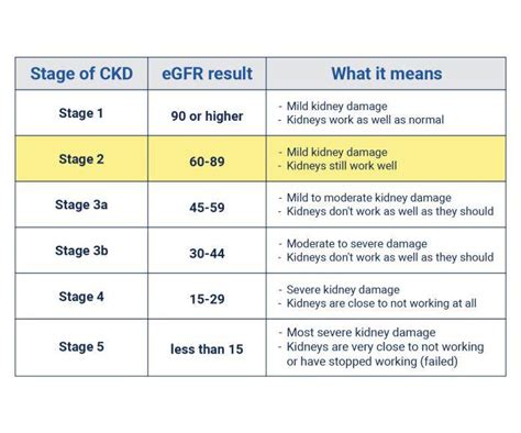 kidney disease stage 2