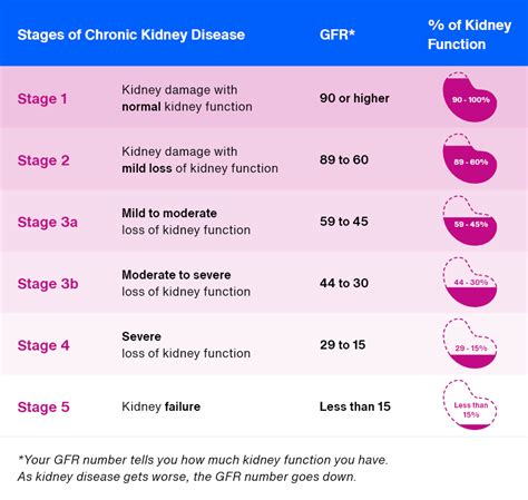 kidney disease stages