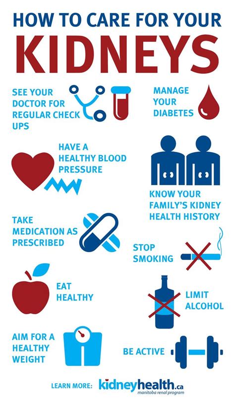 Kidney Health Tips