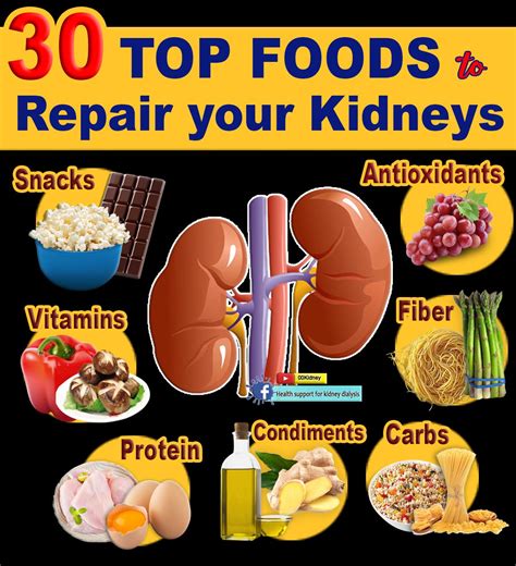 Kidney Nutrition