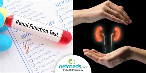 Kidney Test Conclusion