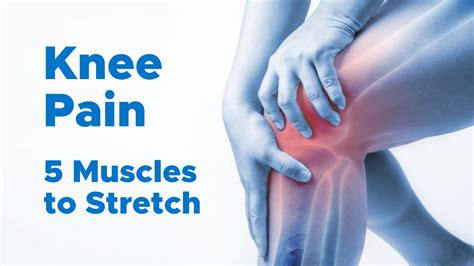 Knee health and maintenance