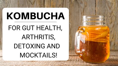 kombucha gut health