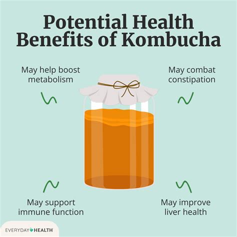 kombucha immune function