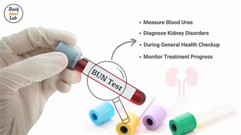 lab bun blood test and pregnancy