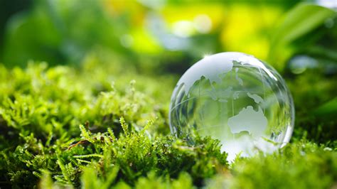 Lactic acid biodegradable plastics