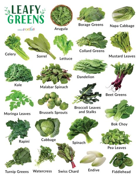 leafy greens
