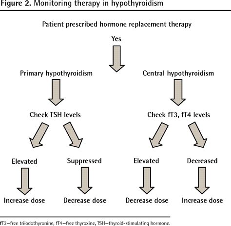 levothyroxine conclusion