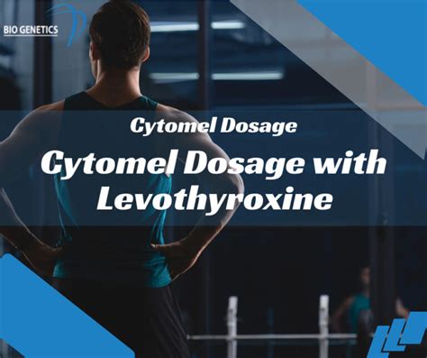 Levothyroxine Introduction