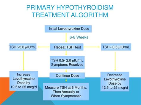 Levothyroxine Management